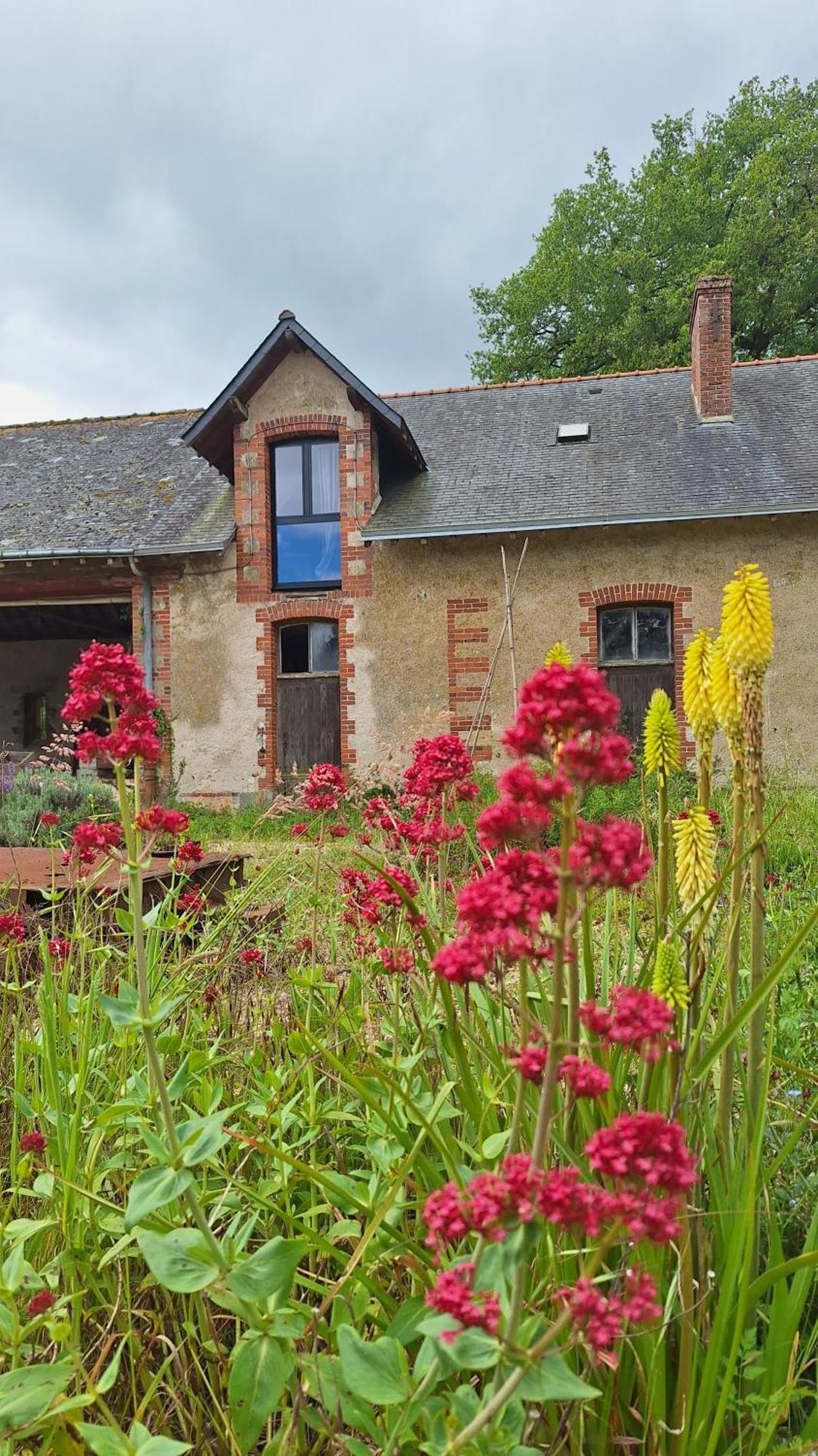 Ecolodges De Loire & Spa Gennes-Val-de-Loire Exterior foto